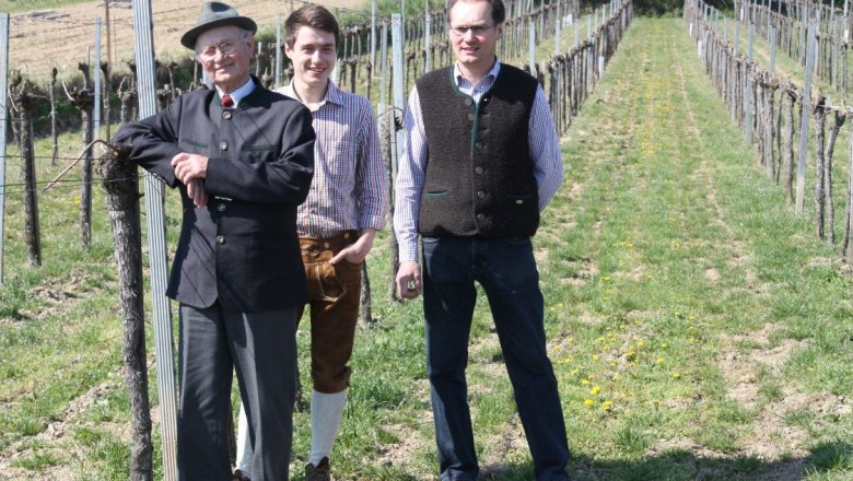 Szől&eacute;szet Walter Polsterer, &copy; Walter Polsterer