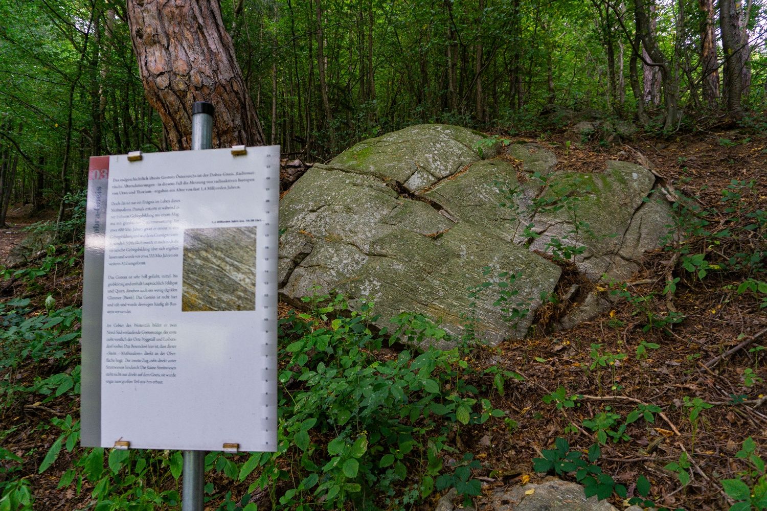 3. állomás - Methuselah köve