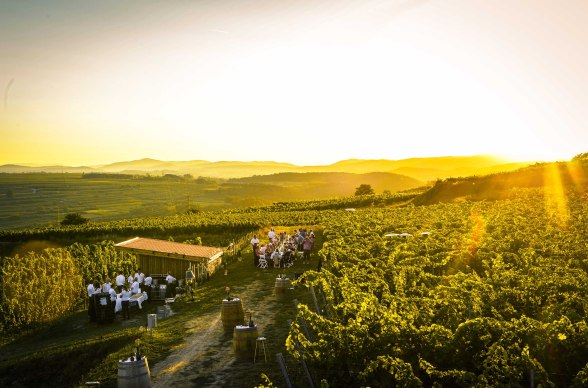 Késő nyári bor ínyencségek Kamp-völgyében, © Robert Herbst