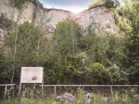 Geologischer Lehrpfad Mautern, &copy; Daniela Matejschek
