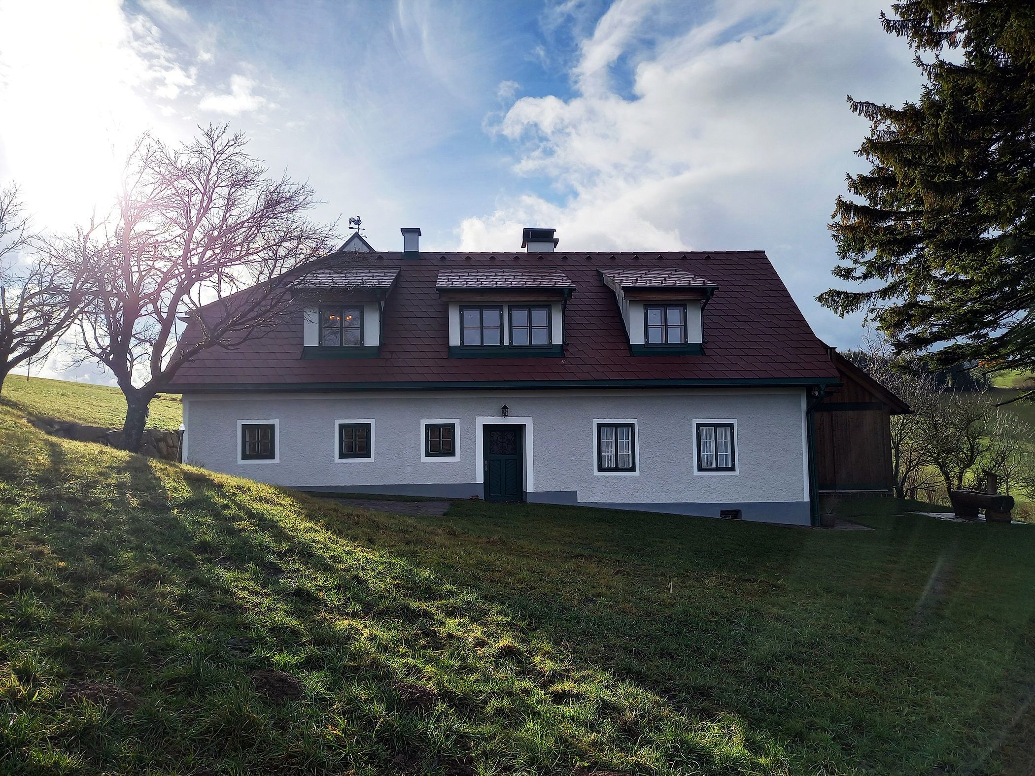 Kő a fában külső nézet 