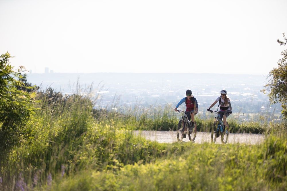 MTB Bécsi-erdő