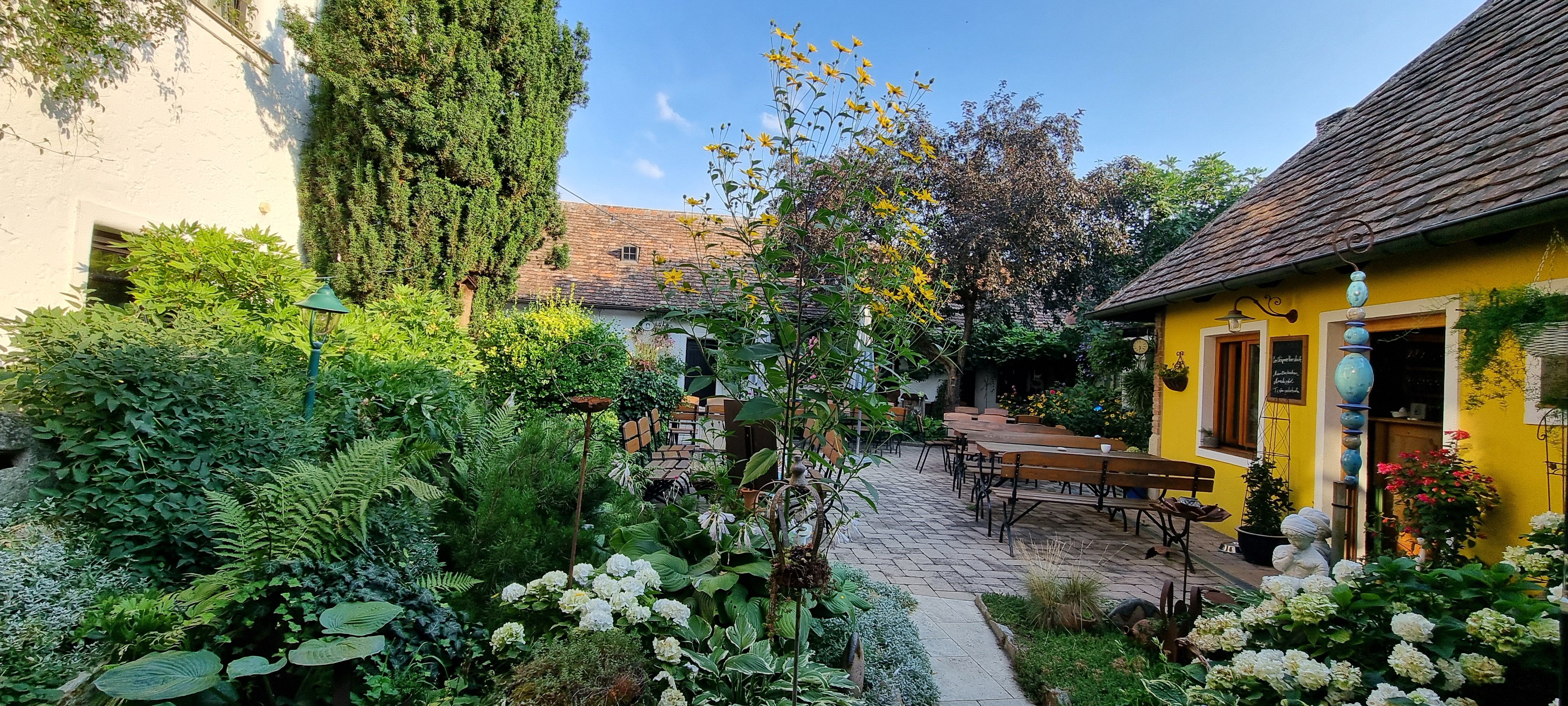 Hangulatos kert, sárga épület, fapadok és buja növényzet a kék ég alatt.