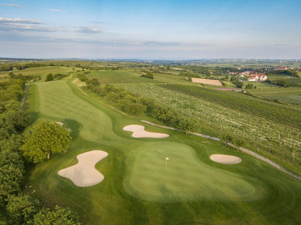 Légi felvétel egy golfpályáról homokbunkerekkel és a környező szőlőültetvényekkel.