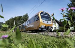 Die sanften Hügel und die üppige Vegetation umrahmen die malerische Bahn, die durch die atemberaubende Landschaft gleitet. Hier, wo die Natur in voller Pracht erblüht, wird jeder Moment zu einem unvergesslichen Erlebnis. Genießen Sie die frische Bergluft und die Ruhe, die nur die Berge bieten können.