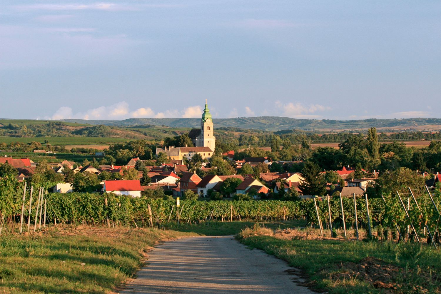 Unterretzbach falu látképe, előtérben a templom és a szőlőskertek.