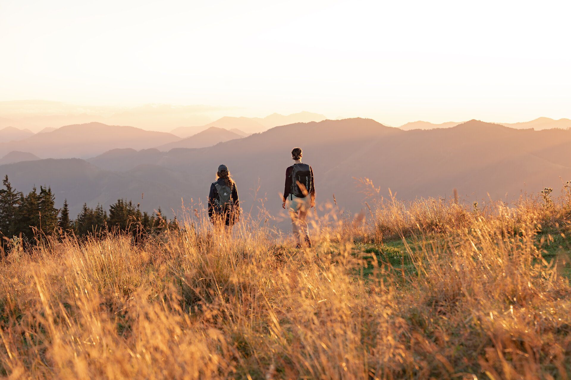 In der goldenen Abendstimmung wandern zwei Personen durch das hohe Gras, umgeben von den majestätischen Ybbstaler Alpen. Die sanften Hügel und die atemberaubende Aussicht laden dazu ein, die Natur in vollen Zügen zu genießen und den Alltag hinter sich zu lassen.