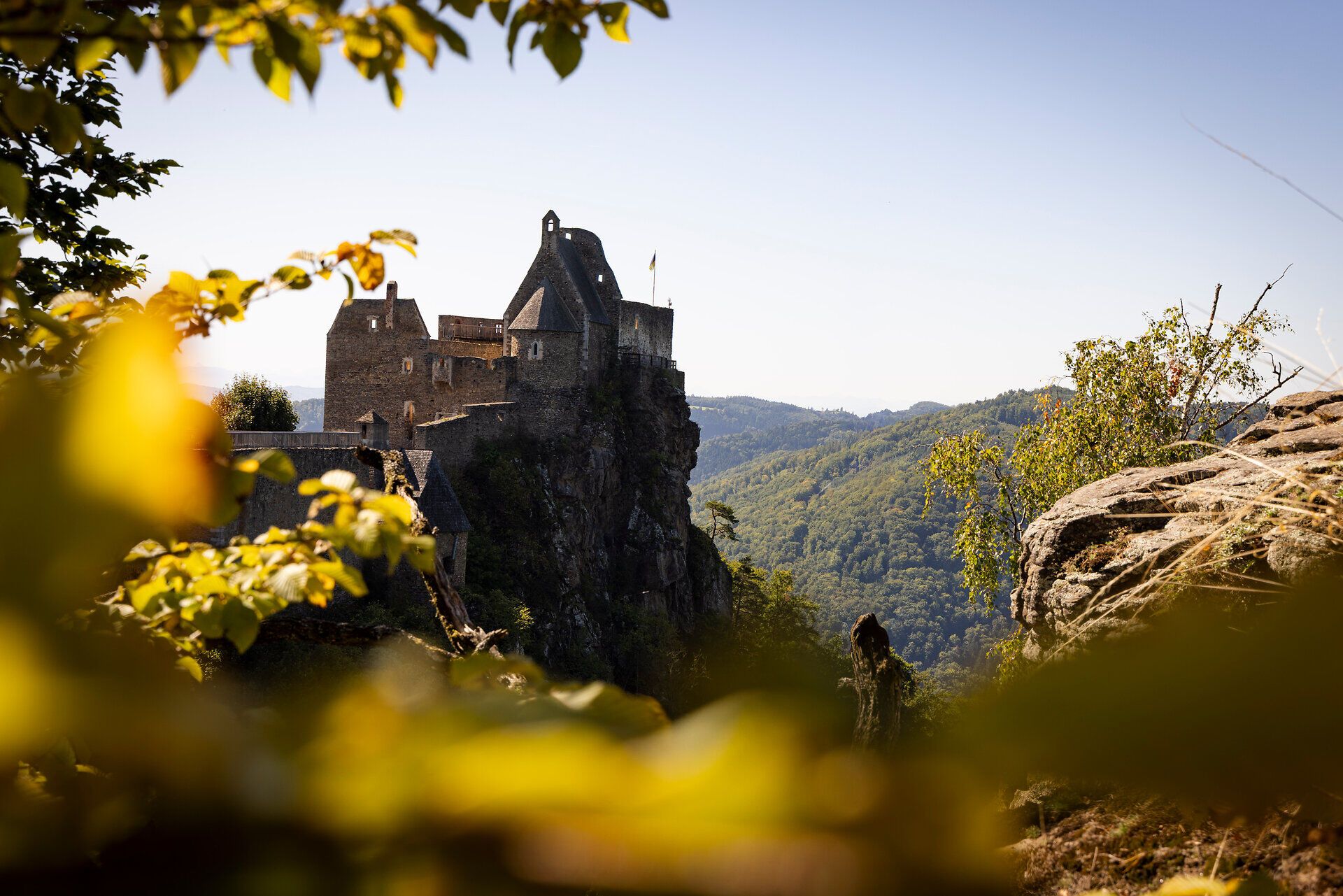 Ruine Aggstein in der Wachau mit Blätter im Vordergrund.