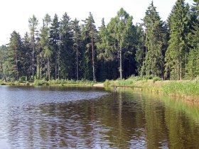 Gemeindeteich in Heidenreichstein, &copy; Horst Zimmel