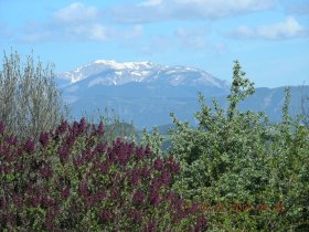 Wanderung zur Kampsteiner Schwaig (von St. Corona), &copy; Wiener Alpen in Nieder&ouml;sterreich