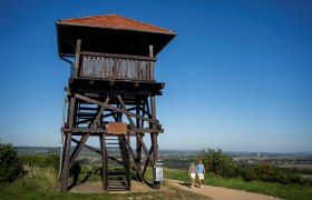 Observation tower on the Gobelsberg, © POV, Robert Herbst