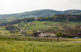 Fotopunkt Zeilinger, &copy; schwarz-koenig.at