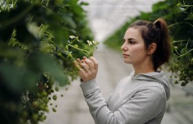 Lehners Beerenstadl, &copy; Moststra&szlig;e, dochbodnliacht
