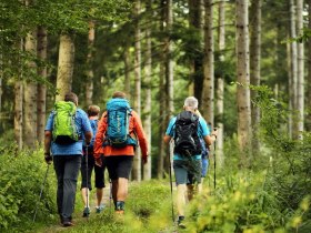 Pielachtaler Rundwanderweg, &copy; weinfranz.at