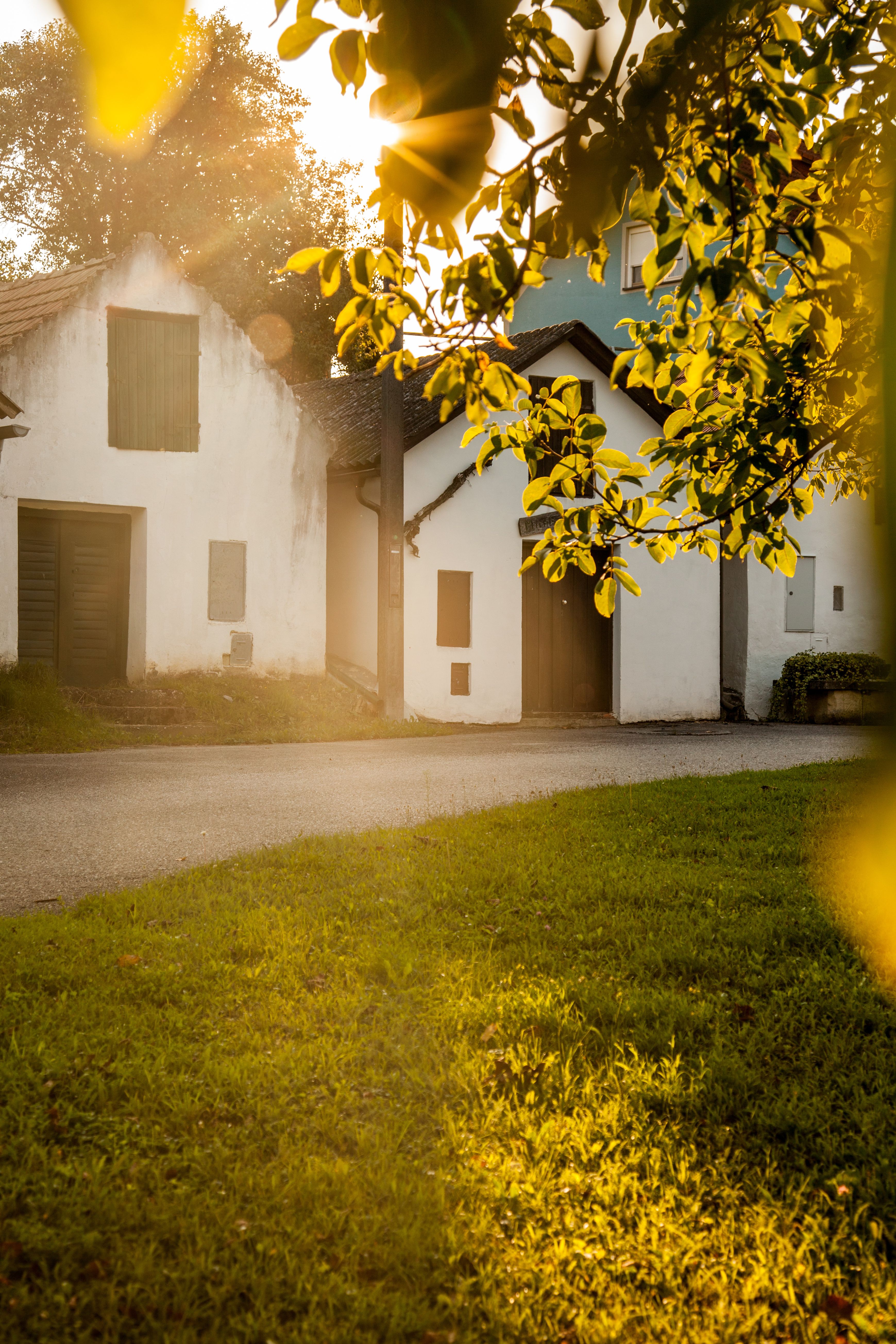 Zöld szőlőskert és egy túrajelzés "Pincesor Arbesthal" felirattal. 