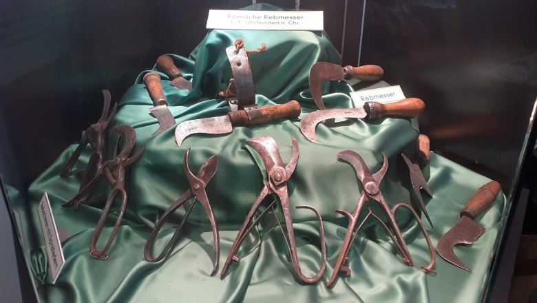 Szől&eacute;szeti M&uacute;zeum, &copy; Verena Schnatter