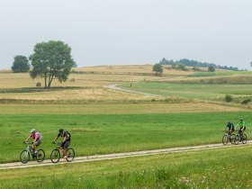 MTB Waldviertel, &copy; &copy; Waldviertel Tourismus, Erwin Haiden, nyx.at