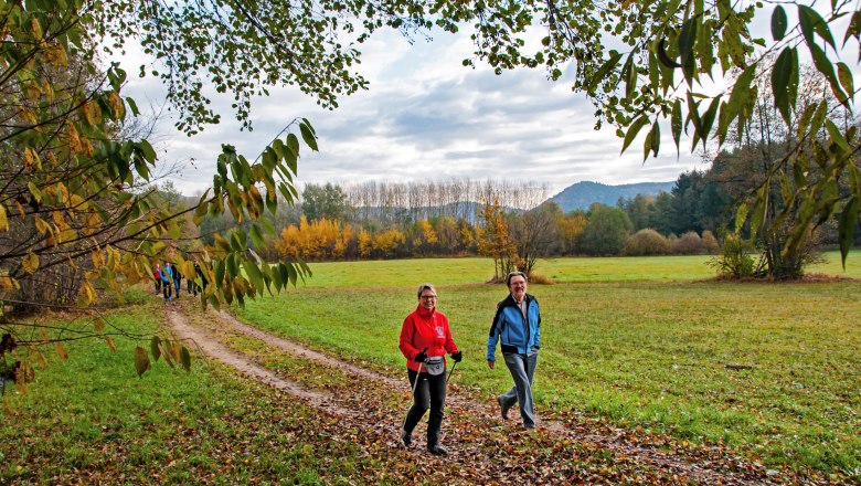10-Bachwiesenweg-im-Hintergrund-der-Mandlgupf--DSC_2024-1, &copy; Gottfried Grossinger