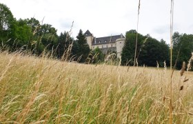 Neuhaus Castle, &copy; burg-neuhaus_kathrin-huemer_wienerwald-tourismus