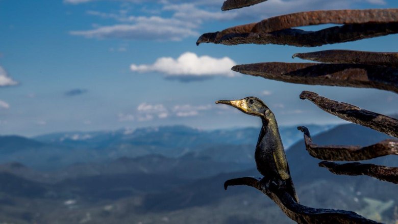 Iron sculpture on the way to the Ötscher summit, © Ludwig Fahrnberger