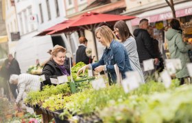 Waidhofen an der Ybbs weekly market, &copy; Dominik Stixenberger