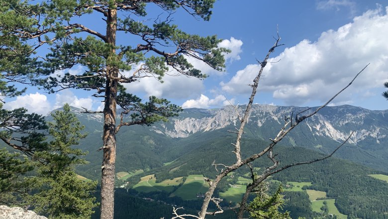 Viewpoint Luckerte Wand, © TVB Semmering-Rax-Schneeberg