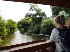 Naturpark Dobersberg, &copy; Waldviertel Tourismus, weinfranz