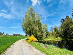 Siebenlinden, © Dr. Markus Peham