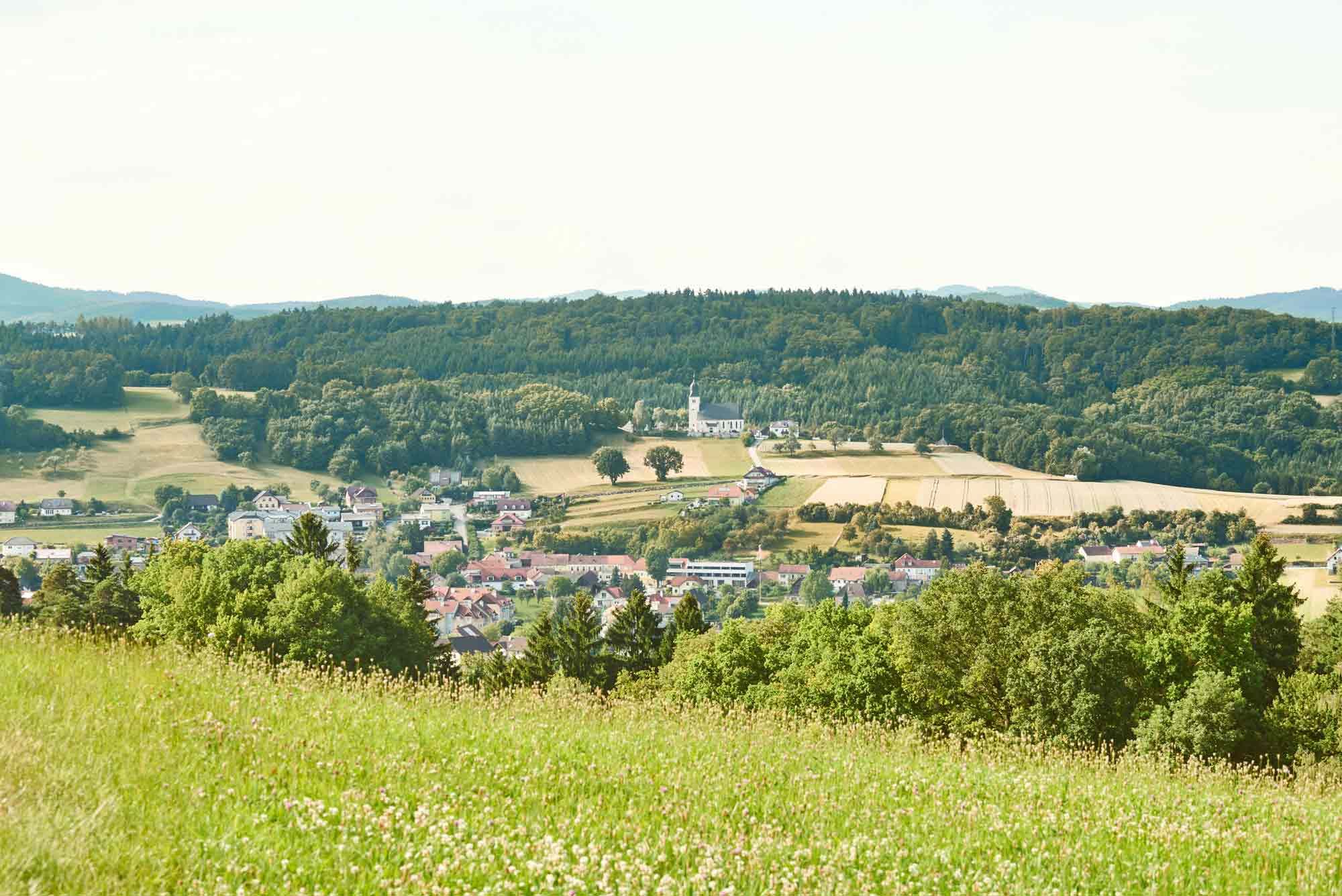 Leiben panorámaképe zöld mezőkkel és erdőkkel a háttérben.