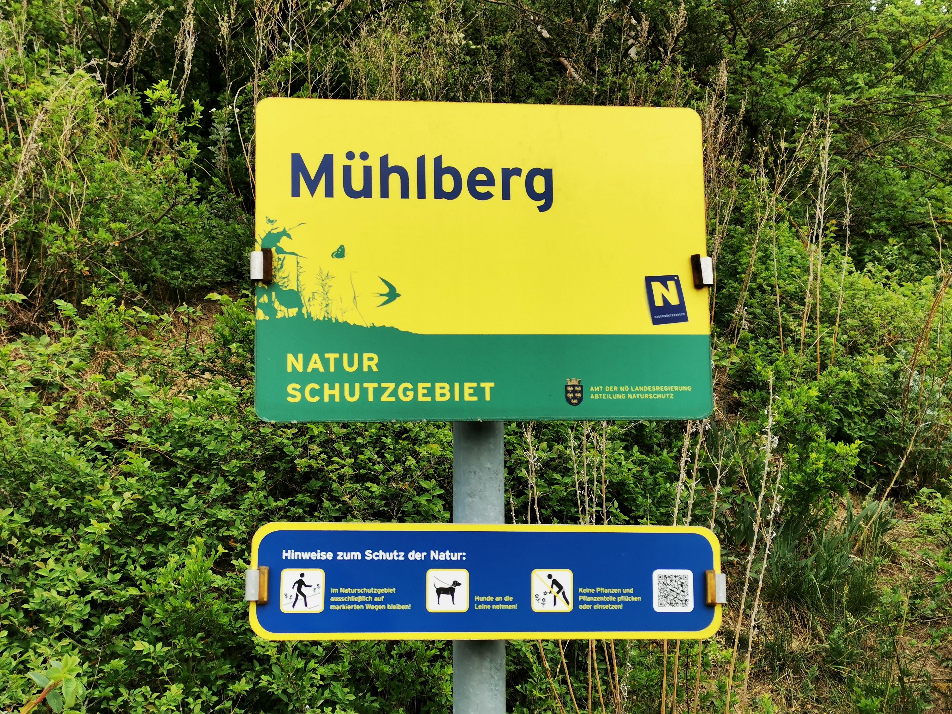 A Mühlberg természetvédelmi terület táblája a természetvédelemmel kapcsolatos információkkal.