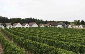Prellenkirchen wine cellar lane, VIA.CARNUNTUM., © Donau Niederösterreich, Steve Haider