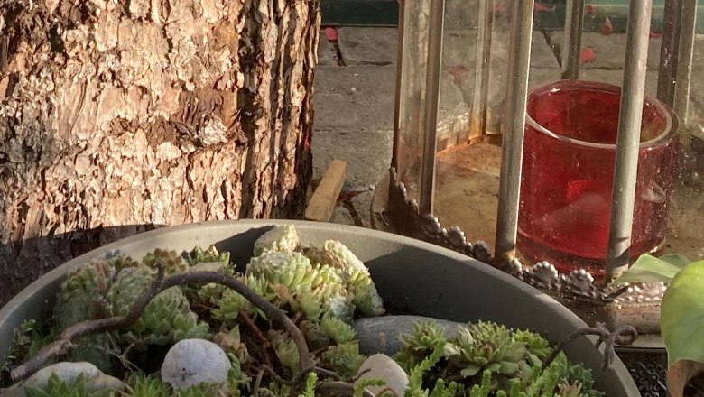 img_0350, &copy; Fr&uuml;hst&uuml;ckspension Gerstbauer