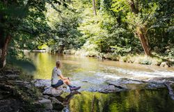 Ein sanfter Fluss schlängelt sich durch die üppige, grüne Landschaft, während die Sonne durch das Blätterdach der Bäume strahlt. Die ruhige Atmosphäre lädt dazu ein, die Seele baumeln zu lassen und die Schönheit der Natur zu genießen.