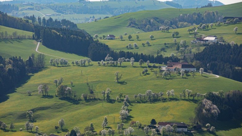 Photo point Mostviertel, &copy; schwarz-koenig.at