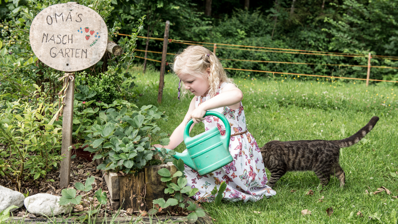 Nyaral&oacute;h&aacute;z Oberbach, &copy; Wolfgang Wutzl