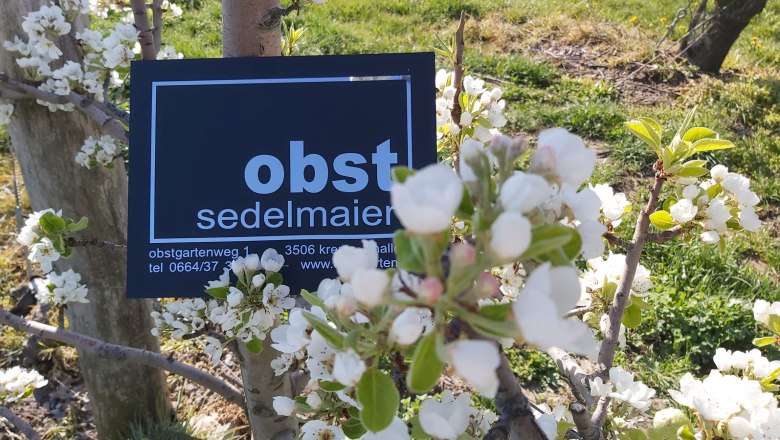 Sedelmaier fruit farm, &copy; Obsthof Sedelmaier