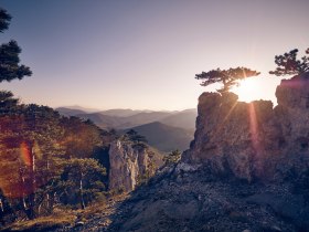 Frühling im Wienerwald, © Andreas Hofer