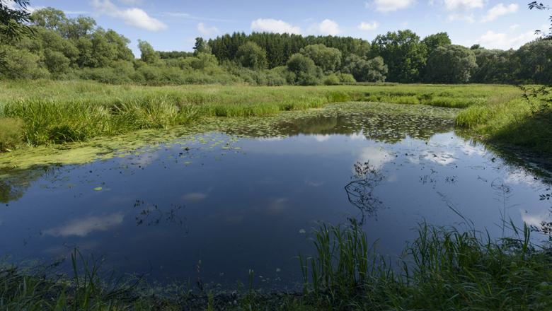 Lainsitz lowlands, © Matthias Schickhofer