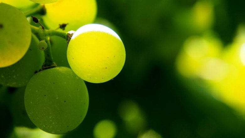 Pinc&eacute;szet Josef Hintermayer, &copy; Pixabay