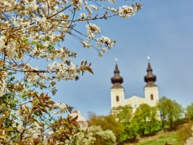 Basilika in Maria Taferl, &copy; Donau Nieder&ouml;sterreich / Klaus Engelmayer