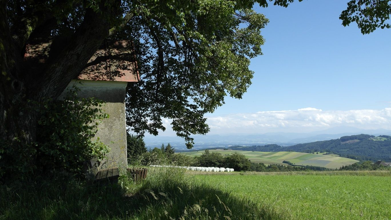 Brandstätter Kreuz - kilátások