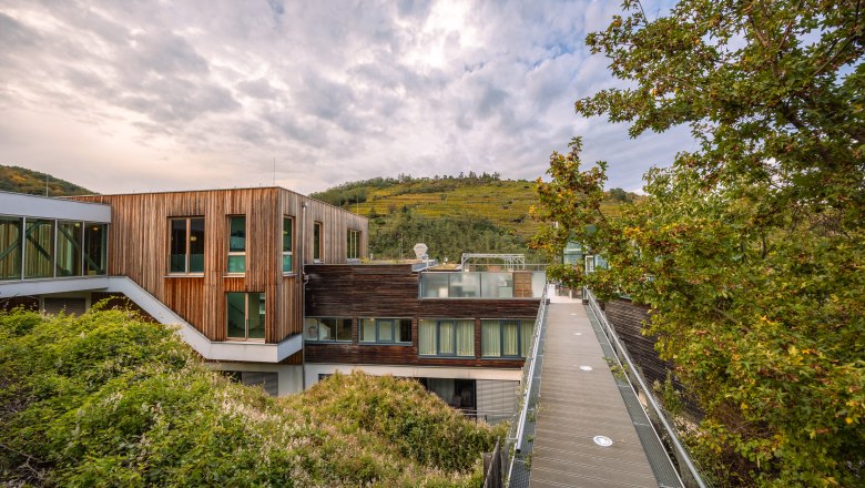 Steigenberger 8, © Niederösterreich Werbung / Maximilian Pawlikowsky