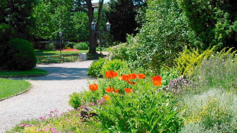 Egy gondozott parki ösvény virágzó piros virágokkal és zöld bokrokkal a Sparkassenpark St. Pöltenben.