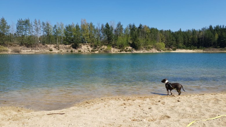 Swimming with your dog at the Gm&uuml;nd lido, &copy; Waldviertel Tourismus, Kerstin Glaser