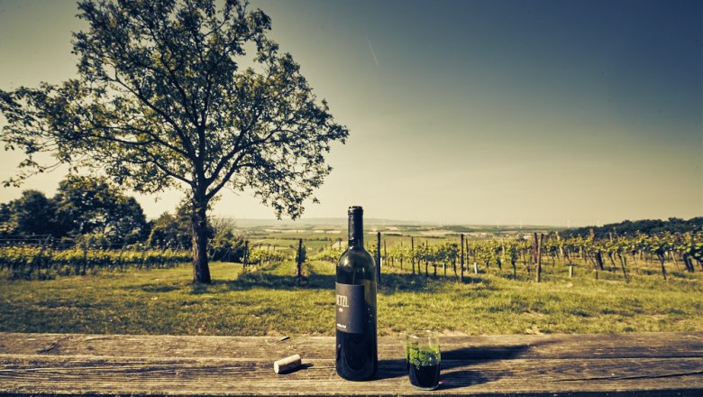 Listening station The three vineyards, VIA.CARNUNTUM., &copy; Donau Nieder&ouml;sterreich, Andreas Hofer