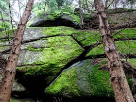 Fot&oacute;s&eacute;ta, &copy; Waldviertel Tourismus
