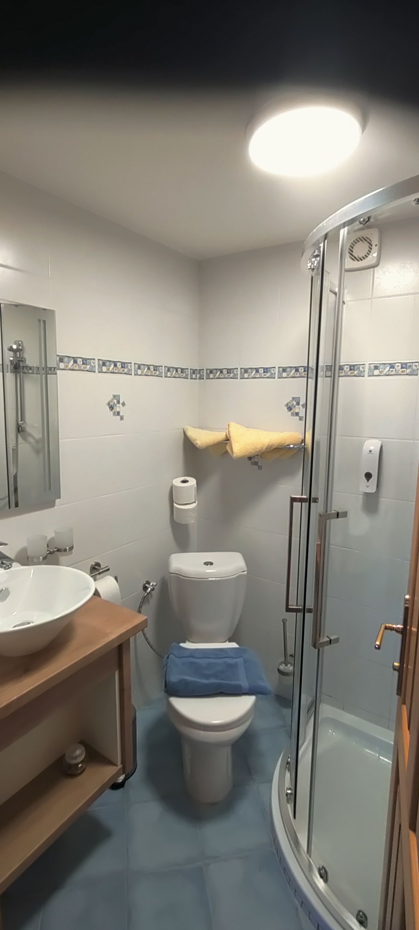 Kis fürdőszoba zuhanyzóval, WC-vel és mosdókagylóval.