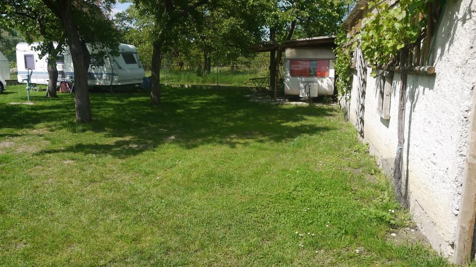 Kemping lakókocsikkal a fák alatt, egy szőlővel borított épület mellett.