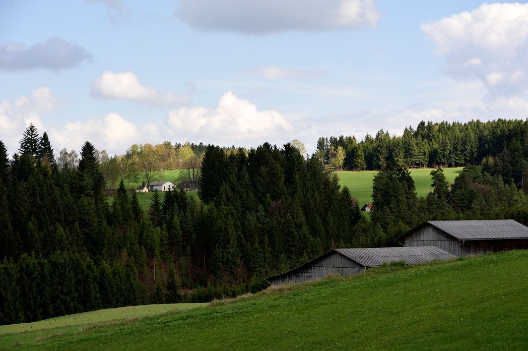 Friesenhof túraútvonal