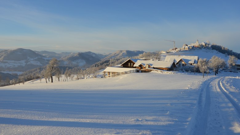 Ebenbauer organic farm in winter, © Gottfried & Rosina Wagner